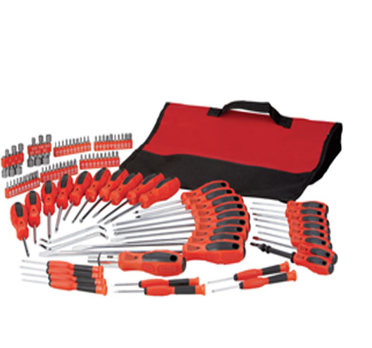 100 PC. SCREWDRIVER SET