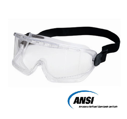 Safety Goggle