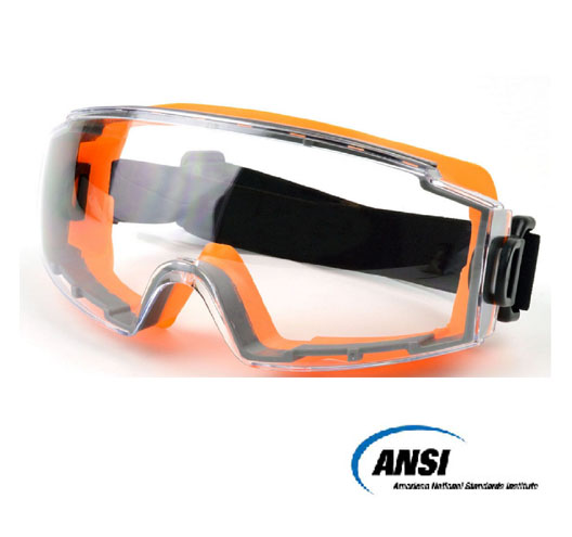 Safety Goggle