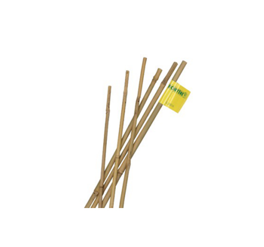 Bamboo Stick