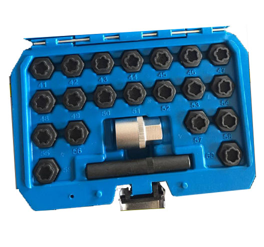 22pcs BMW Wheel Nuts Socket Set