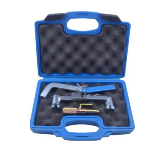 Renault Laguna Safrane 2.0 2.5 Petrol Engine Camshaft Timing Lock Tool Set Kit