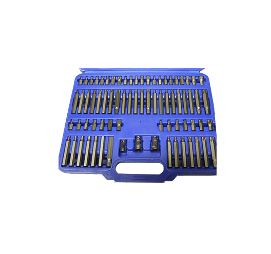 75pc Hex, Ribe, Spline, Star Bit Socket Set 1/2,3/8"