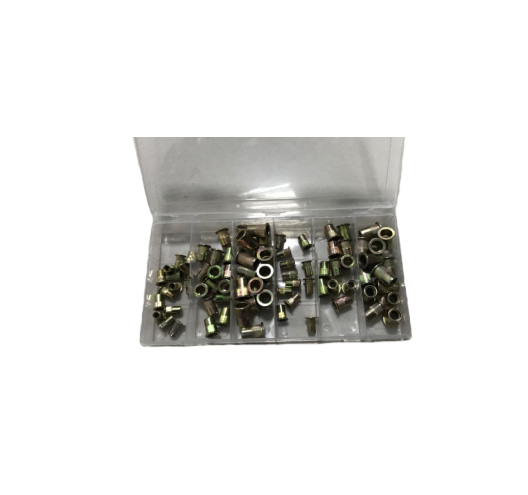 100PC Rivet Nuts Assortment