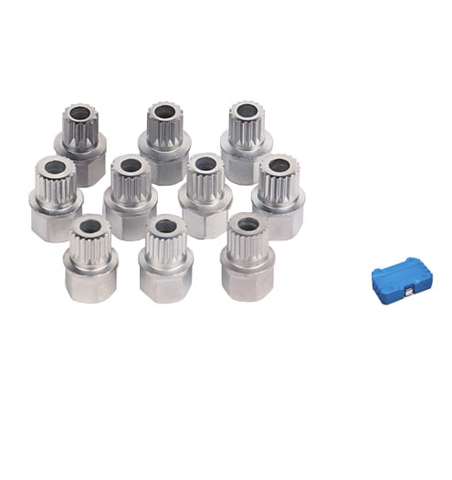 10pcs BMW Wheel Lock Screwsocket Set