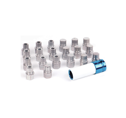 21pcs BMW Wheel Lock Screw