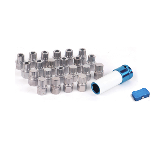 23pcs VAG Wheel Lock Screw