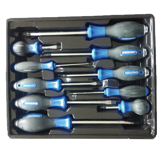 10Pc Screwdriver Set