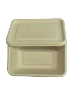 500PC 750ML Take Away FoodContainer（Contains the lid）