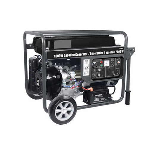 7300W GAS GENERATOR