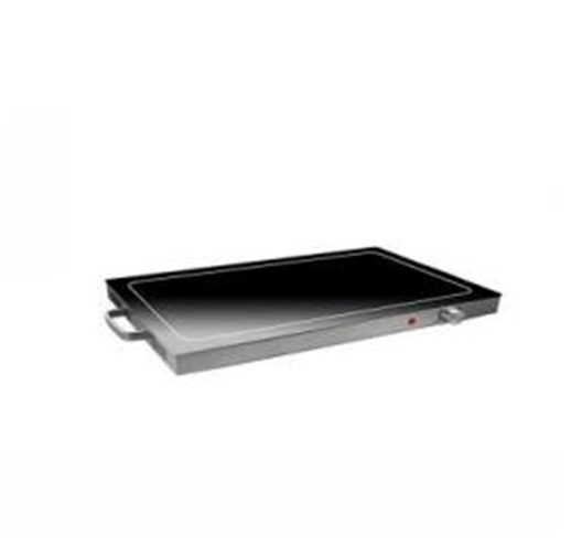 Electric Warming Tray