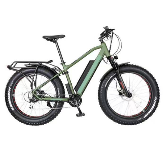 750W 48V 16A Electric Bicycle