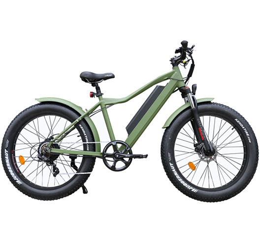 750W 48V 16A Electric Bicycle