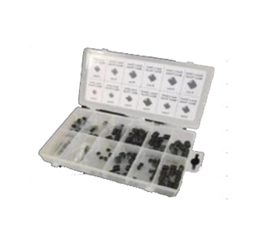 200PC Rust Protection SocketScrew  Assortment