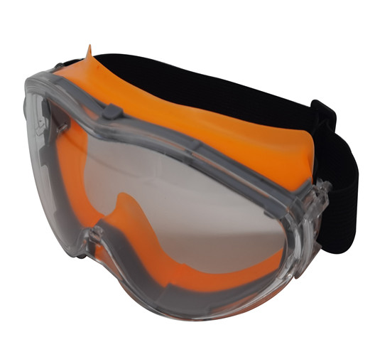 Safety Goggle