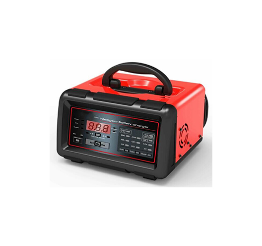 20A 12V/6V Battery Charger
