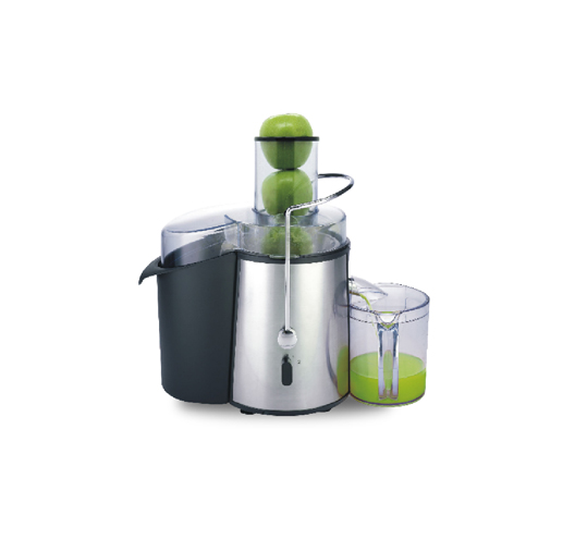 1000W Power Juicer