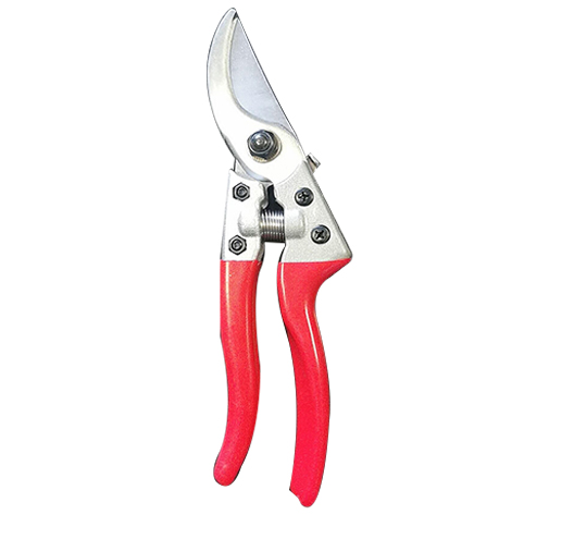 Pruning Scissors