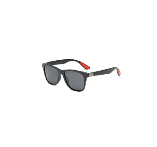 Polarized Sunglasses