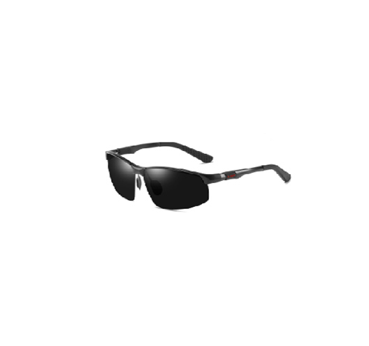 Polarized Sunglasses