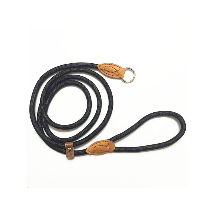 Slip Lead for Dogs