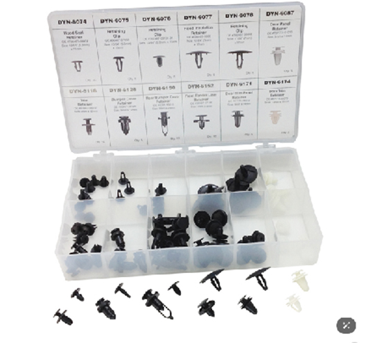80Pc.Toyota Retainer Assortment
