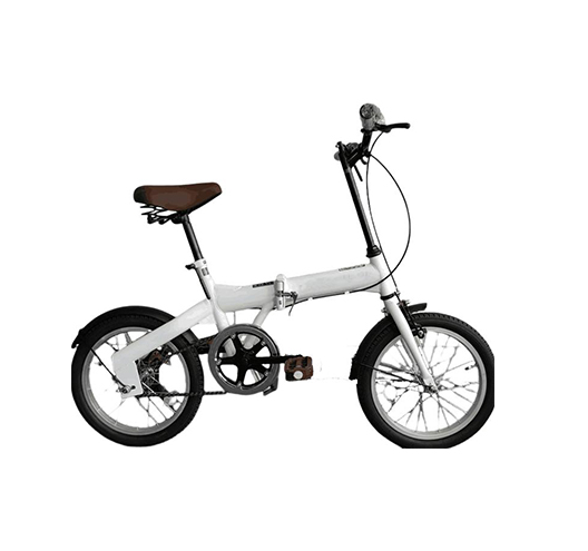 16-inch Folding Bike