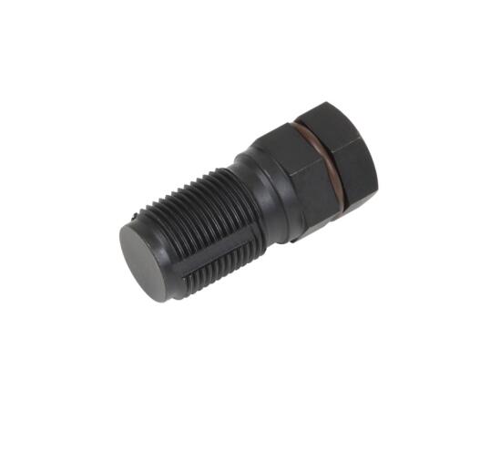 Nitrogen Oxide Sensor PortThread Chaser M22 x 1.5mm