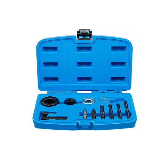 Belt disc stripper/Assembly Kit-General Motors, Ford