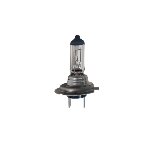 H7 DC12V Halogen Llamp For Automobile