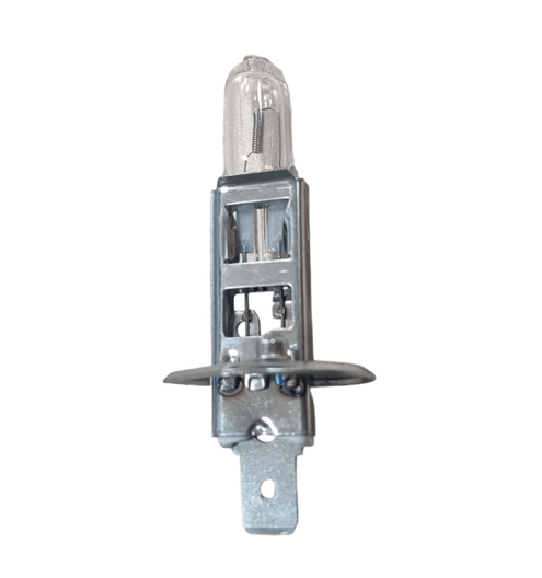 H1 DC 12V halogen lamp for automobile