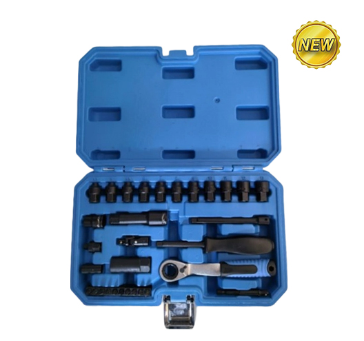 31PC 1/4"Go through socket set
