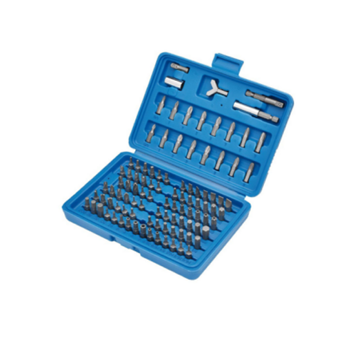 100 PC SECURITY BIT