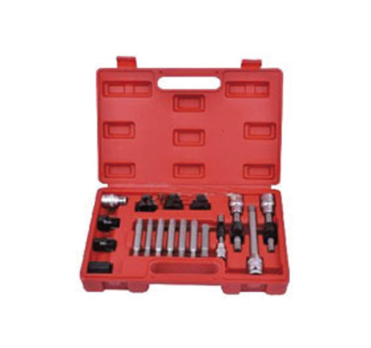 Alternator Repair Kit-Renault-Alfa Rememo