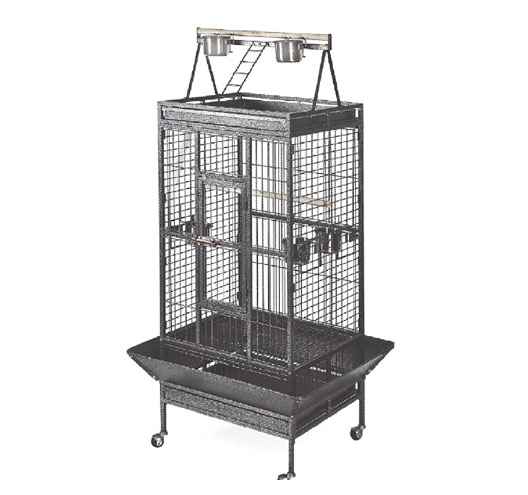 Parrot  Cage