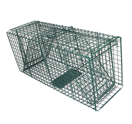 Animal Trap