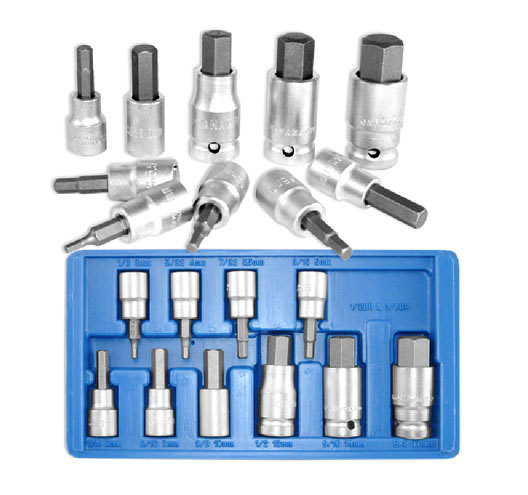 10pc 3/8" & 1/2" Dr. Hex Bit Socket Set - Metric