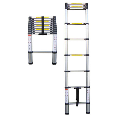 2.9m Telescopic Ladder