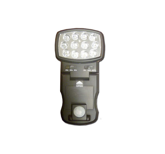 12 LED Motion Sensor Light