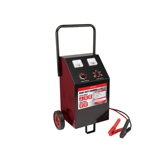 6V 12V 200/40/10/2A Wheel Charger