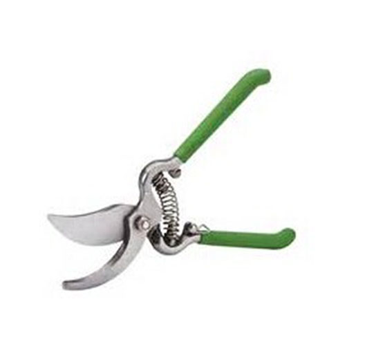 200mm Pruning Shears