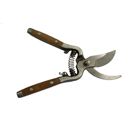 Pruning Scossors