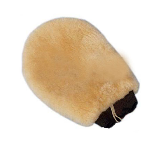 Wash Mitt