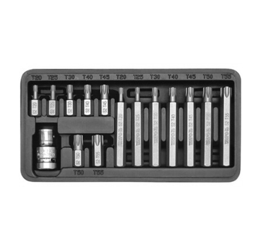 15pcs Torx Bits