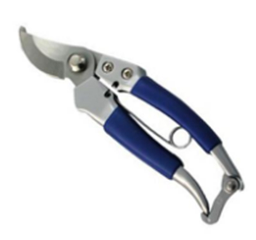 8“ Hedge Shears（chrome plated）