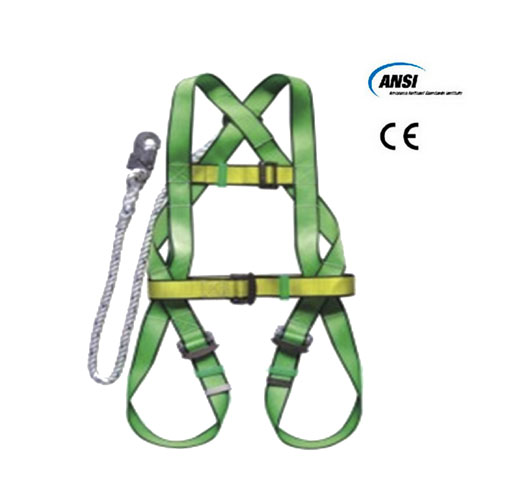 Safety Belt With Lanyard