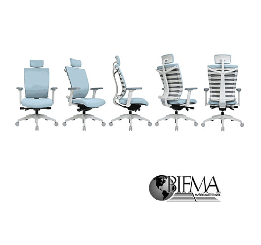 Office Ergonomic Chair