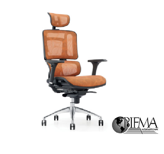 Office Ergonomic Chair