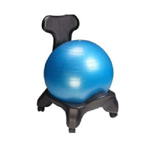 Balance Ball Chairs