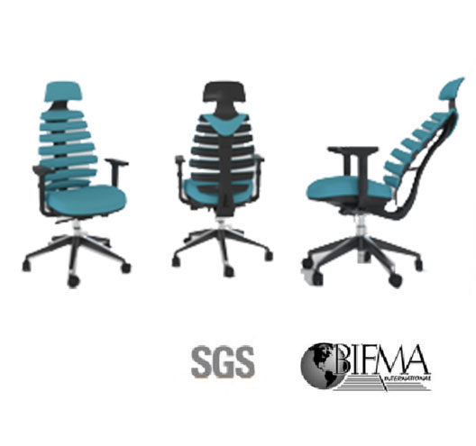 Office Ergonomic Chair